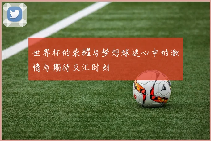 世界杯的荣耀与梦想球迷心中的激情与期待交汇时刻