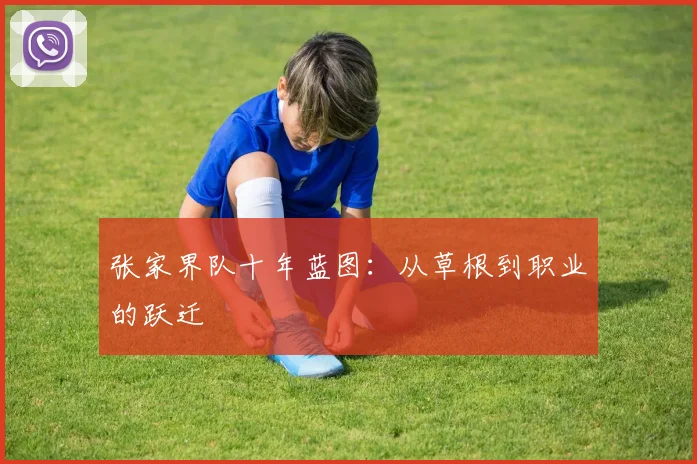 张家界队十年蓝图：从草根到职业的跃迁