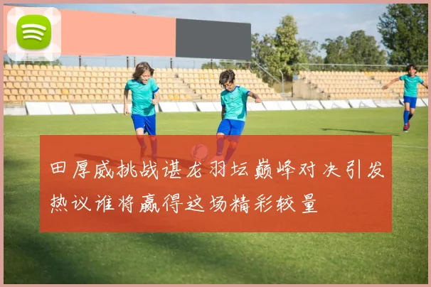 田厚威挑战谌龙羽坛巅峰对决引发热议谁将赢得这场精彩较量