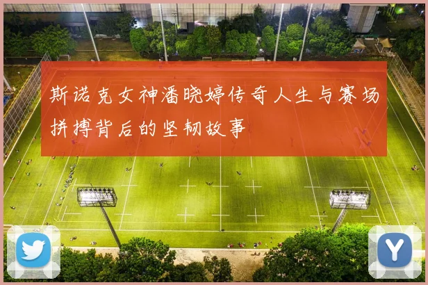 斯诺克女神潘晓婷传奇人生与赛场拼搏背后的坚韧故事
