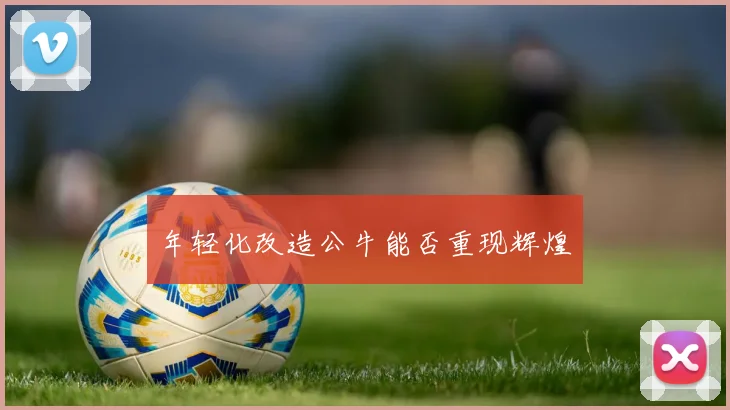 年轻化改造公牛能否重现辉煌